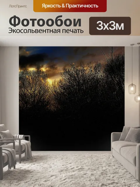 Фотообои Деревья