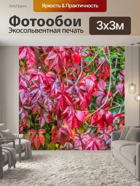 Фотообои Листья