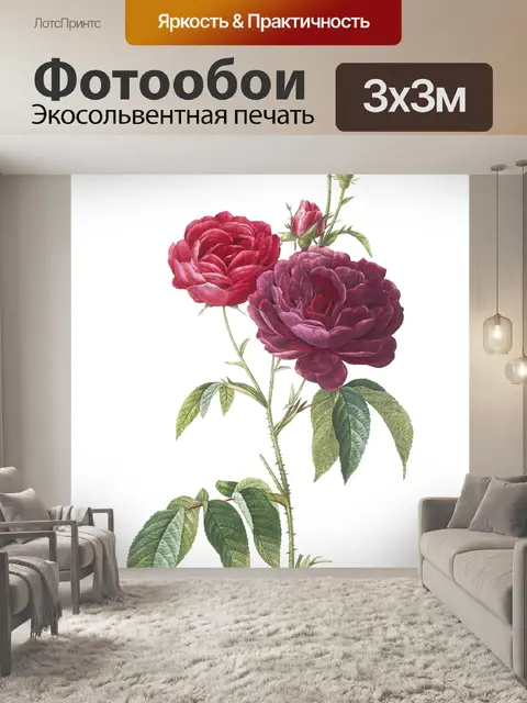 Фотообои Цветок розы винтажный