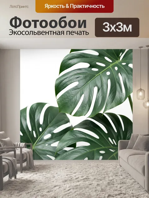 Фотообои Тропические листья монстеры