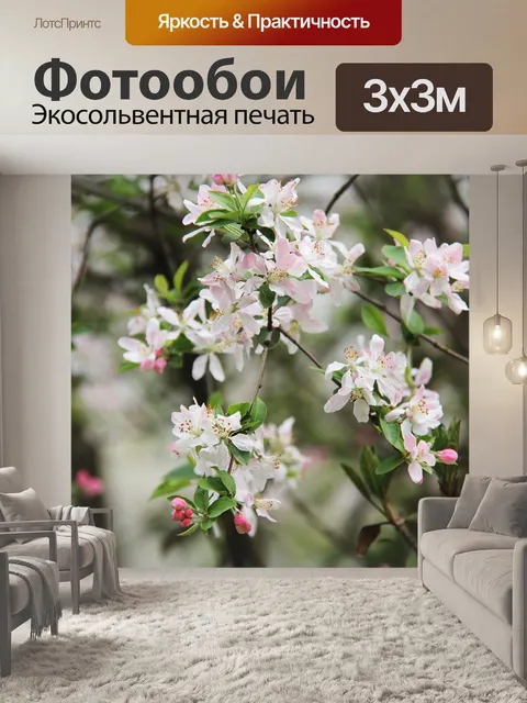 Фотообои Вишни в цвету