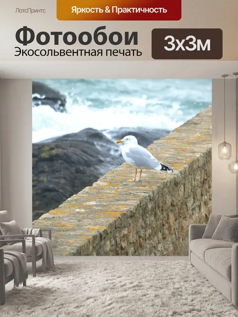 Фотообои Птица на стене