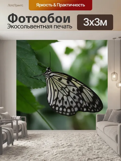 Фотообои Бабочка