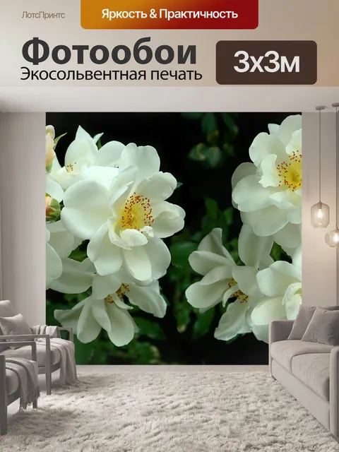 Фотообои Цветы