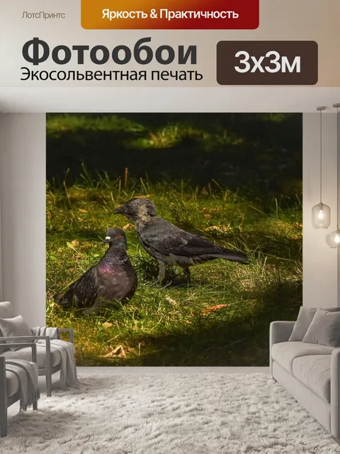 Фотообои Птицы