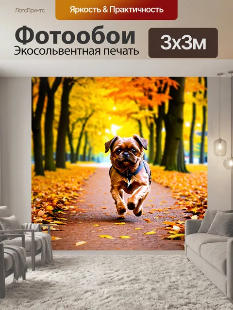 Фотообои карликовый гриффон брабантский сбегает по заполняющейся листьями дорожке осеннего парка