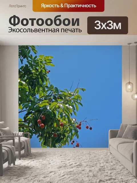 Фотообои личи на дереве