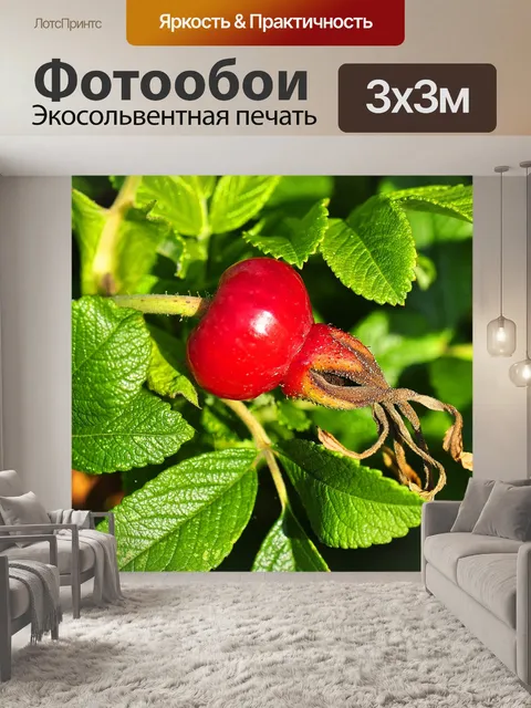 Фотообои Роуз