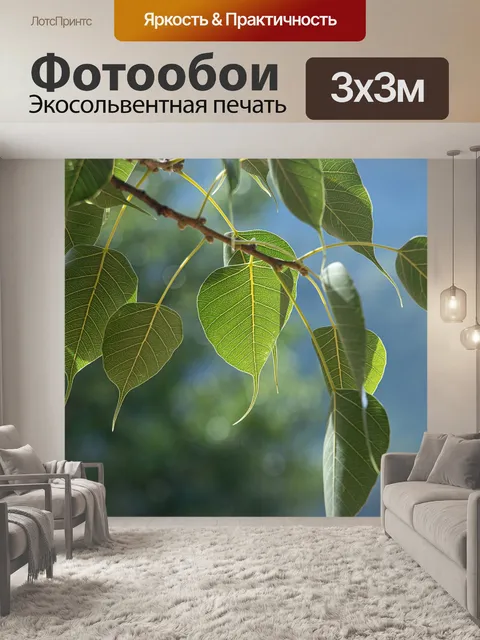 Фотообои Листья