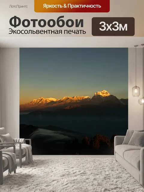 Фотообои Птицы