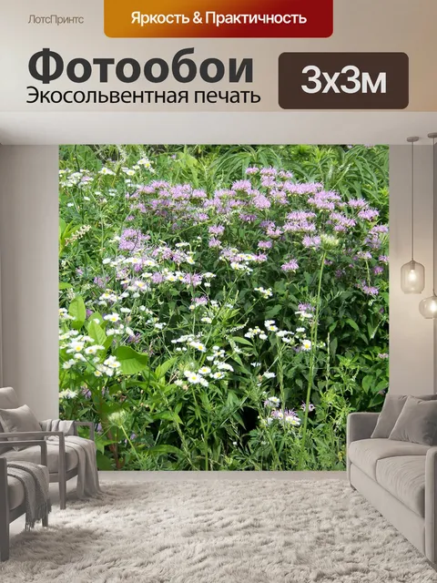 Фотообои Полевые цветы в поле
