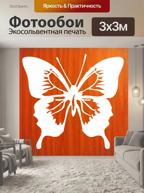 Фотообои белая бабочка