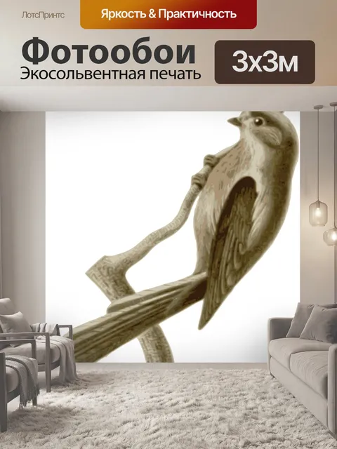 Фотообои Птица