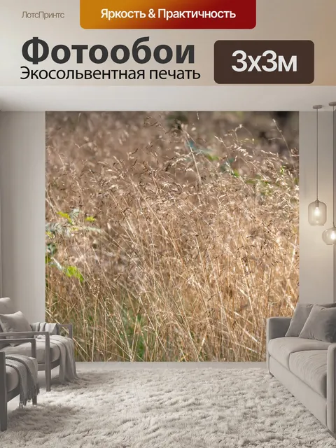 Фотообои лес