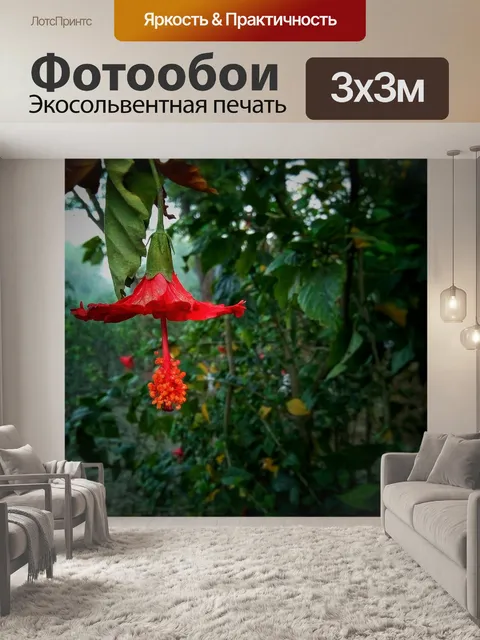 Фотообои Лес