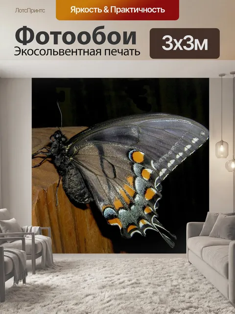 Фотообои Бабочка