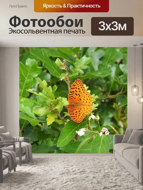 Фотообои Бабочка