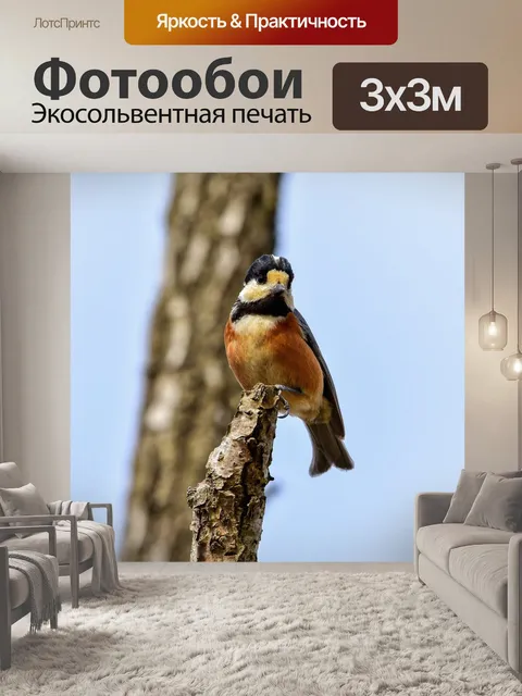 Фотообои Животное