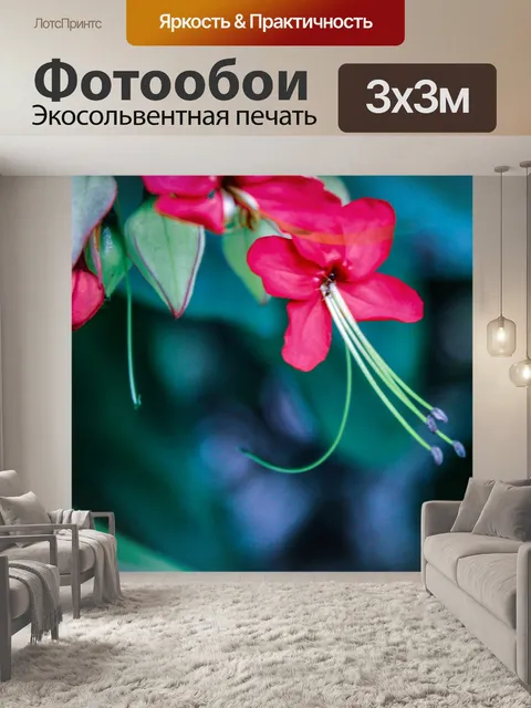Фотообои Цветы
