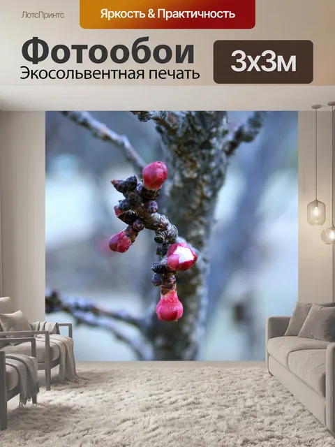 Фотообои Расцвет весны