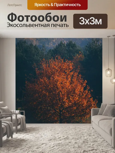 Фотообои Деревья