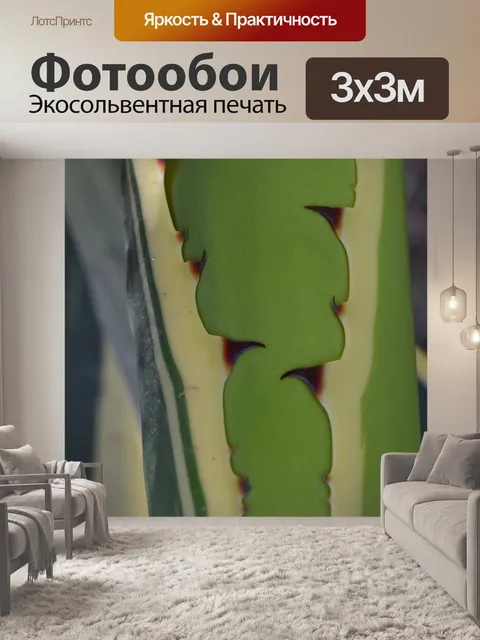 Фотообои Задний план