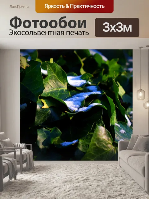 Фотообои Снег