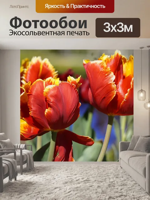 Фотообои Цветы