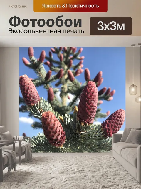 Фотообои Ель
