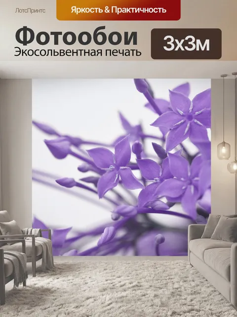 Фотообои Иксора лаванда 1