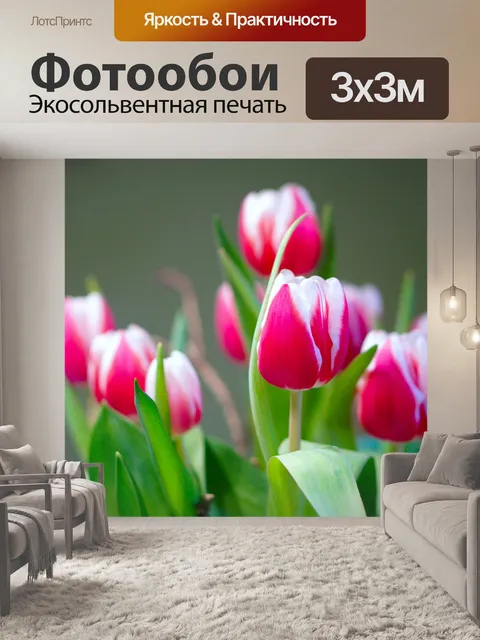 Фотообои Цветок