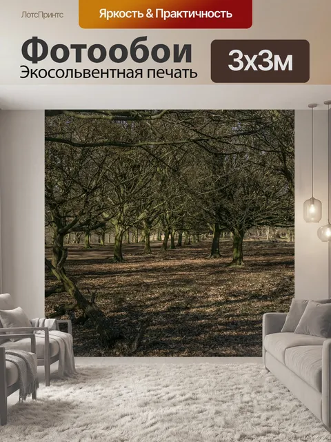 Фотообои Дерево