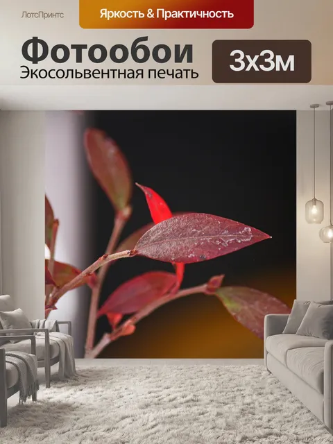 Фотообои куст черники листья на растении