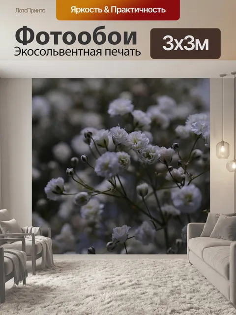 Фотообои Гипсофила