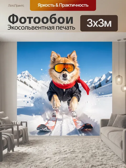 Фотообои Пёс на лыжах в горах