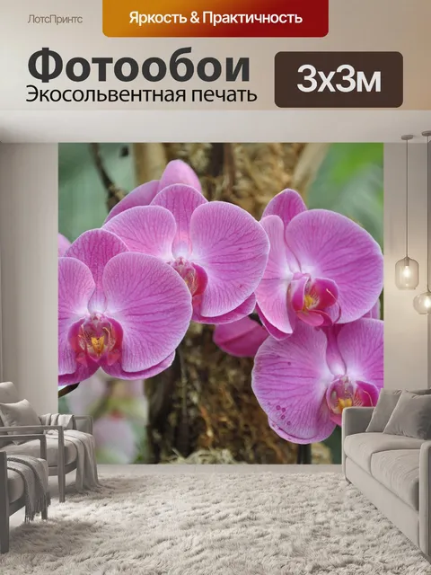 Фотообои Орхидеи