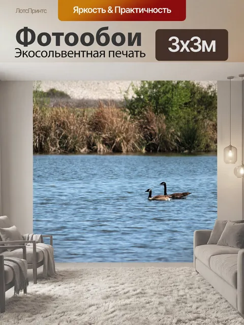 Фотообои Гуси
