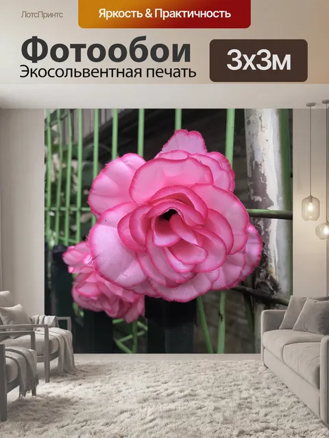 Фотообои Цветы