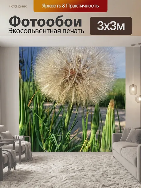 Фотообои Одуванчик