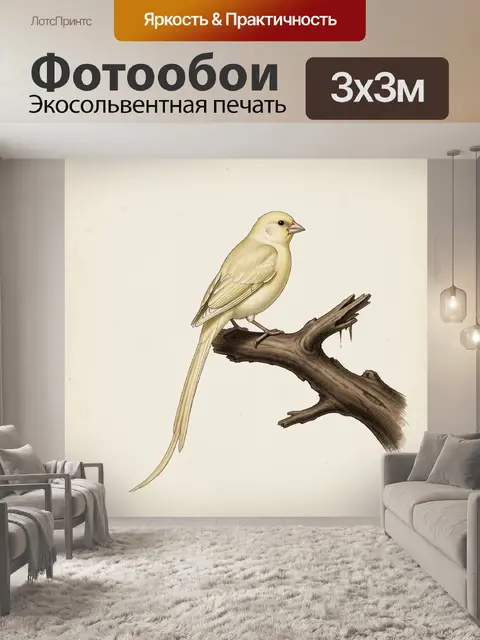 Фотообои Светлая птица на сухой ветке