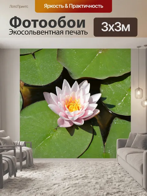 Фотообои Цветок