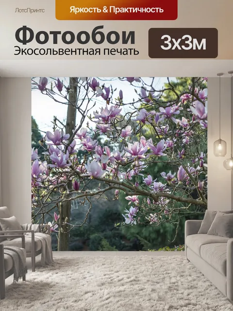 Фотообои Дзен