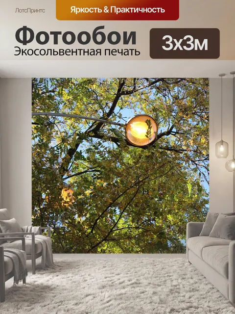 Фотообои Деревья
