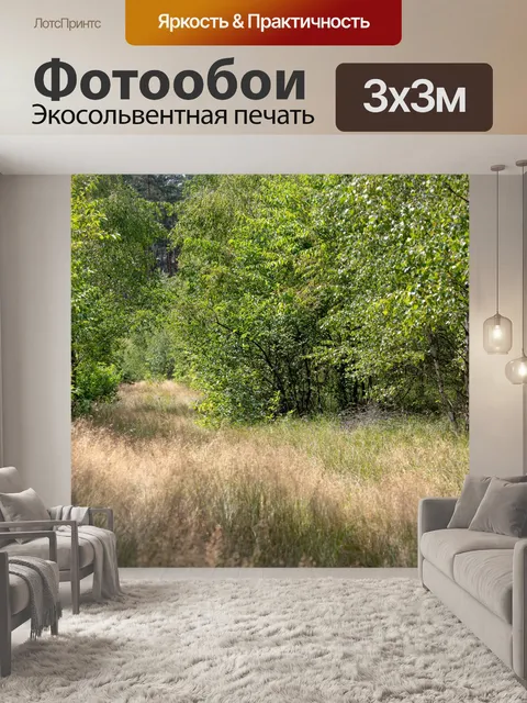 Фотообои лес