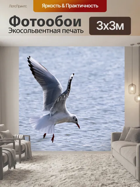 Фотообои Птица