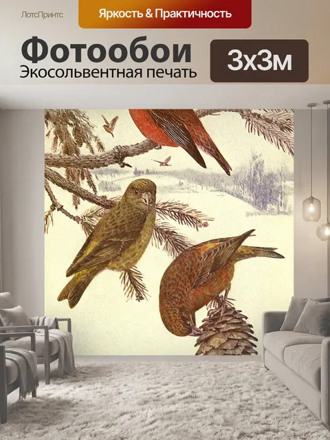 Фотообои Кроссвилл Винтаж Птица Иллюстрация
