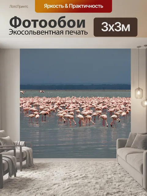 Фотообои Фламинго