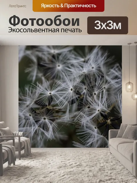 Фотообои Маргаритка