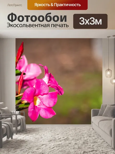 Фотообои Розовые цветы