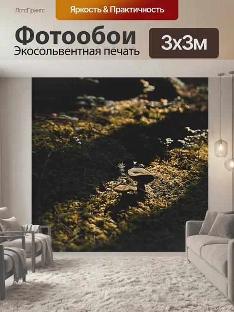 Фотообои Лес